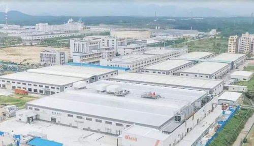 中國崛起為全球植物基食品重要市場，Omni新葷主義引領安心純素餐飲服務新潮流